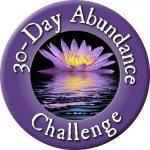 abundance challenge